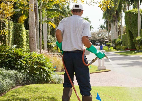 About Hanna OK Pest Control